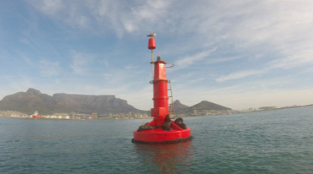 Marine Big 5 Ocean Safari Tour